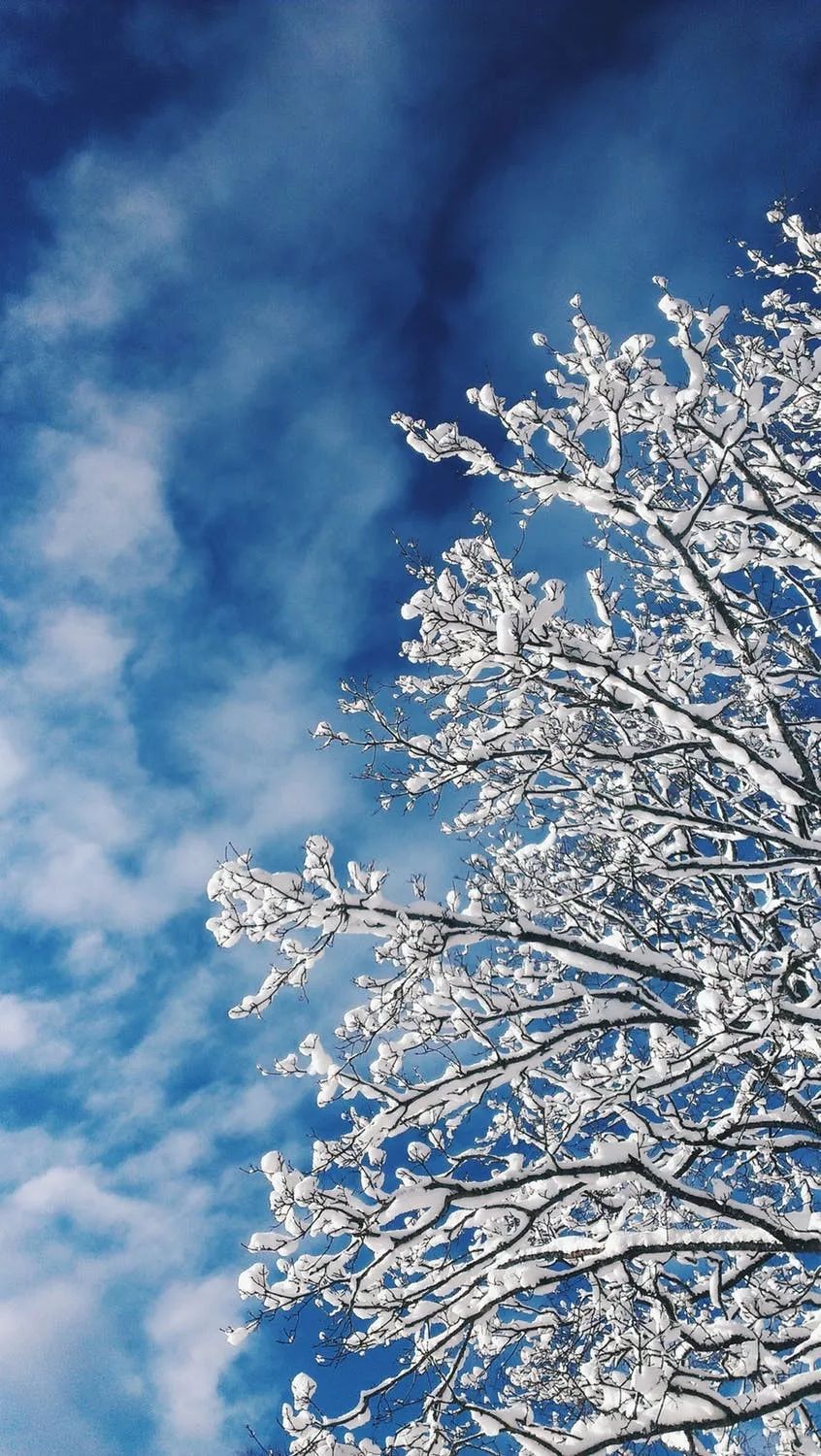 你那里下雪了吗