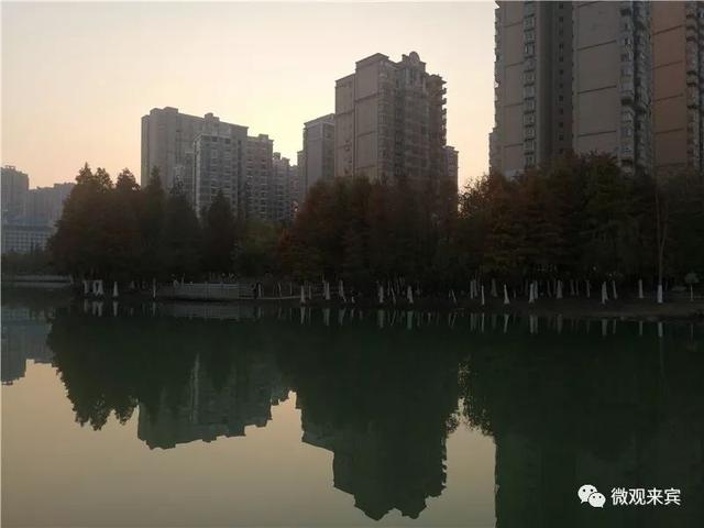 来宾现有人口_来宾北站