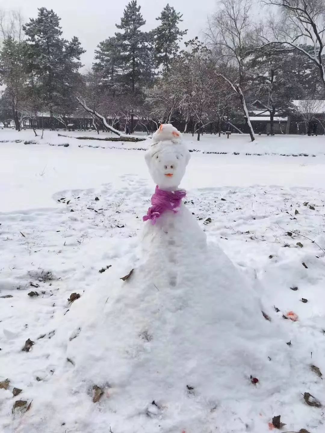 快来堆雪人!今冬最大范围降雪上线啦!