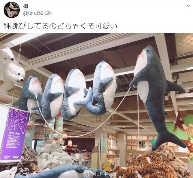 今日趣闻身体神采飞扬表情面如死灰的猫玩起了跳绳的鲨鱼等