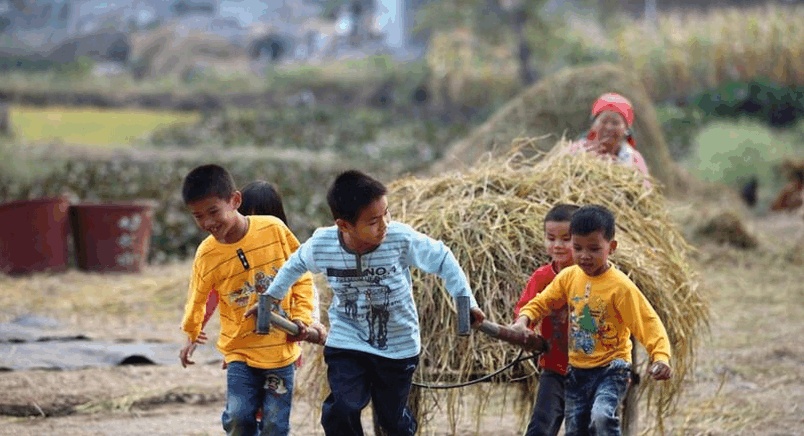 当代陶渊明李子柒，与抚仙湖是绝配