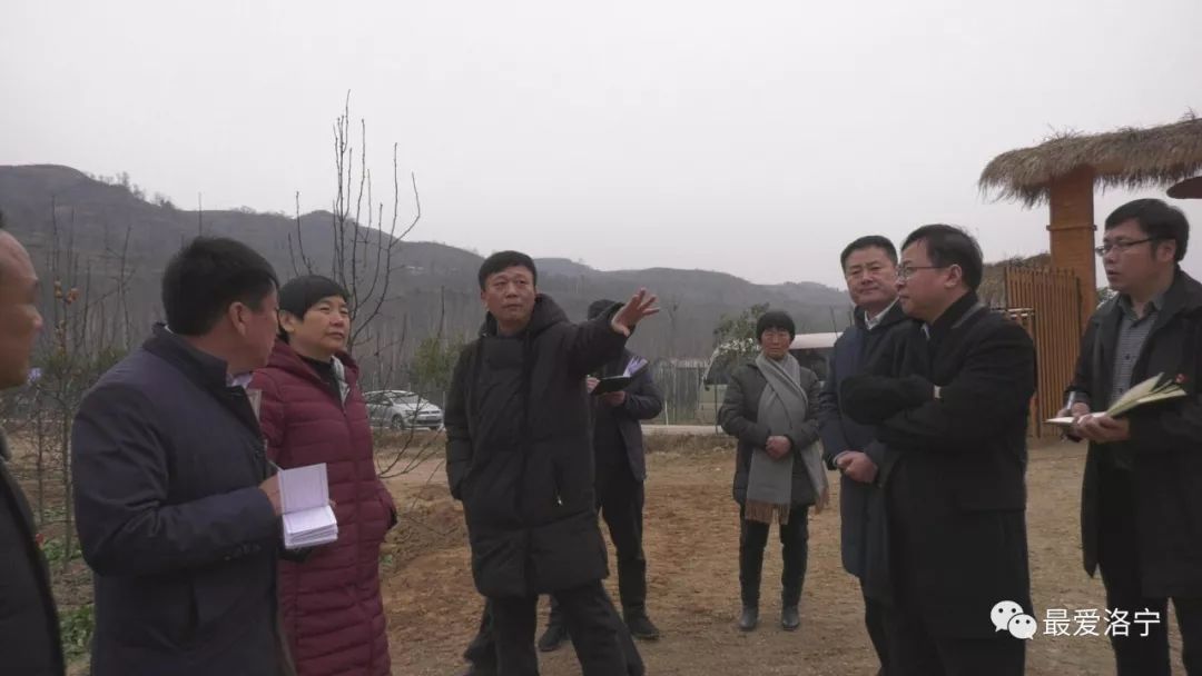 洛宁国土绿化工作做的咋样?县委书记去实地调研!