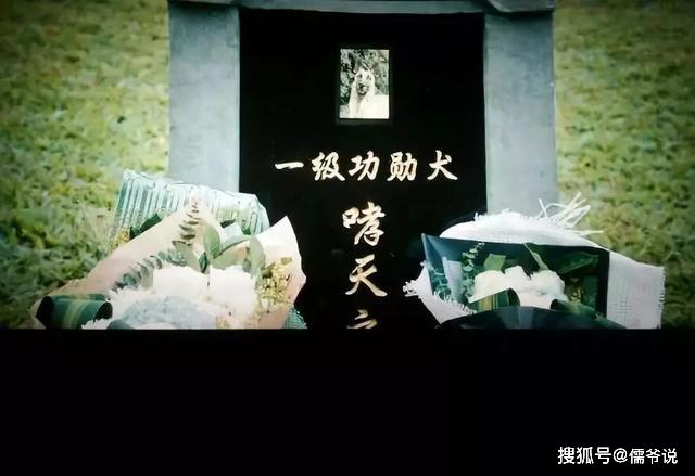 劣迹艺人 要复出,柯震东获全网支持 简直是痴人说梦