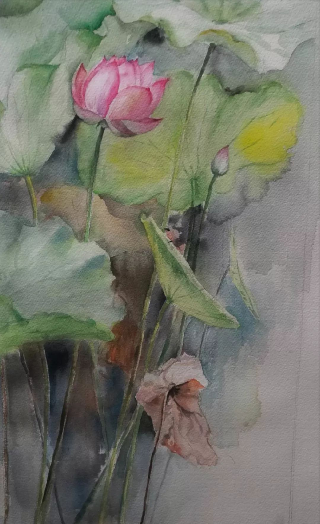 原创「艺术中国 金晓曼的水彩画