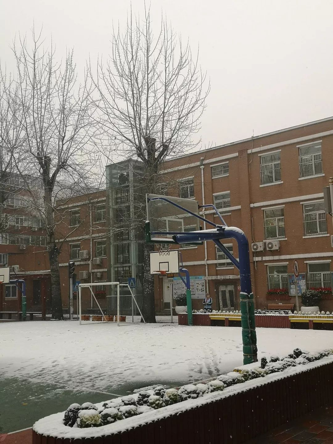 成语鹅毛什么雪_鹅毛是什么颜色的(2)