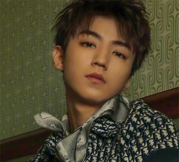华人男明星排行榜_华语男演员,全球票房排行榜,徐峥,成龙,吴京,刘德华上榜(2)