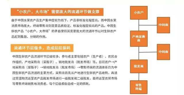 水果人均消费_中国人均水果消费支出(2)