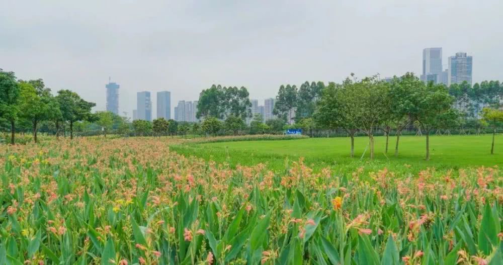 东平河石湾湿地公园