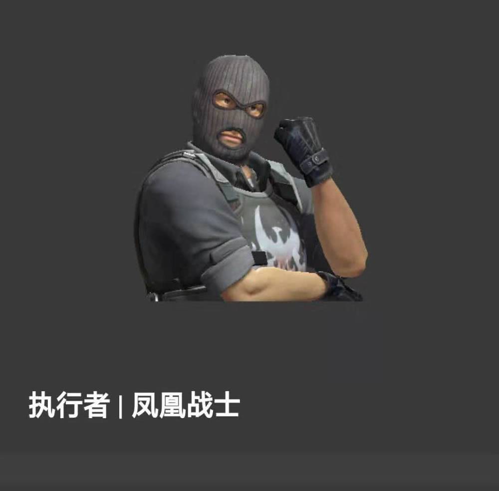 cs:go/裂网大行动