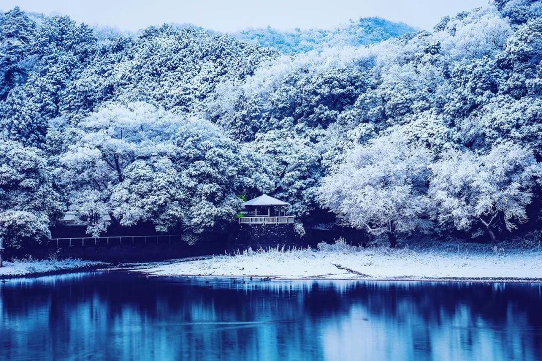 看到日本这么美的雪景,果断淘机票去日本过冬了