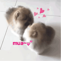 表情包往日不悔来日可期