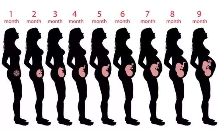 01 孕早期  子宫还没什么变化 在孕早期的时