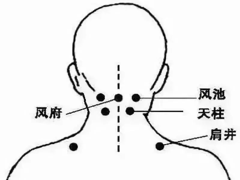 肩颈部主要有风府穴,风池穴,天柱穴以及肩井穴四个穴位,今天小编与