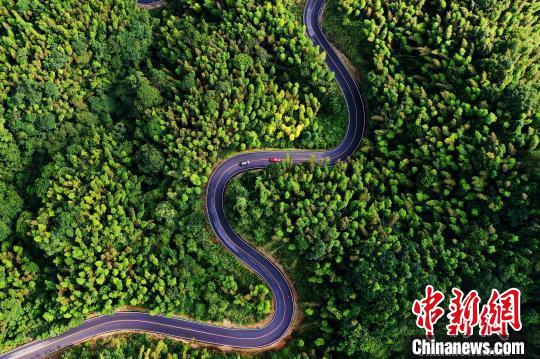 苏北五虎GDP在江西什么位置_苏北抗大五分校图片