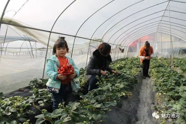 577029d391ec4da0ab1270f3aa9dee64.jpeg