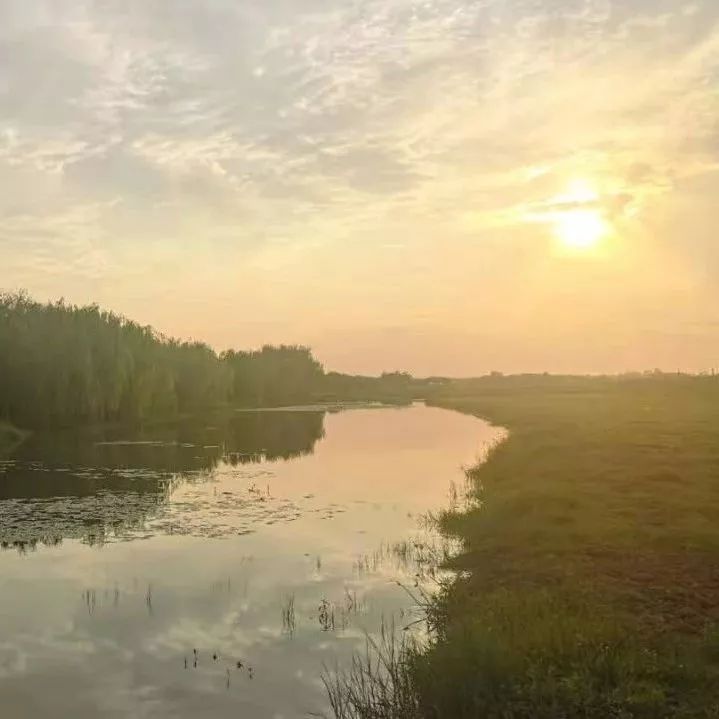 化,农业化,公园化的标准,芡河现代农业示范园重点打造了梦幻月亮湾