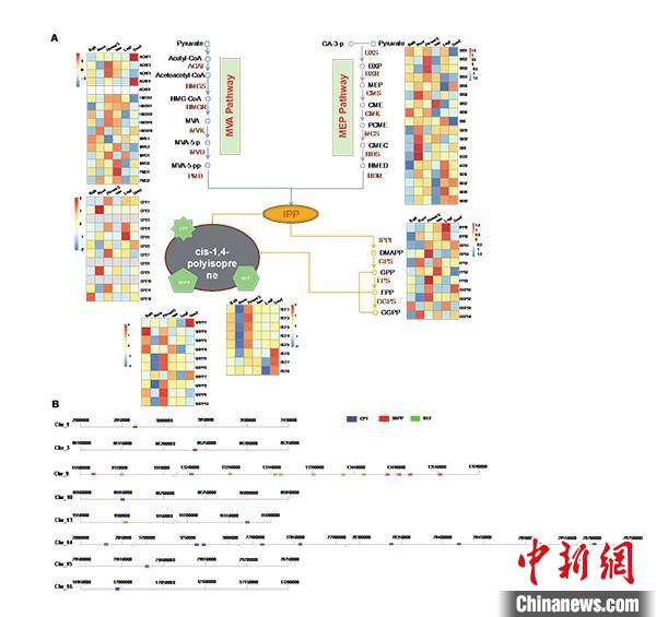 家族人口图_人口老龄化(2)