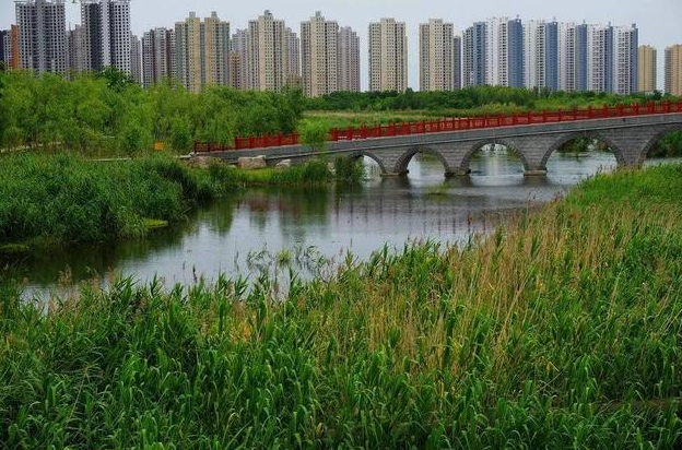 海阳市人口_山东烟台常住人口净流入流出情况