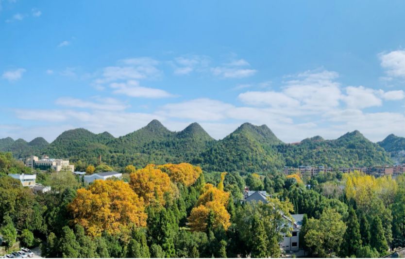 12月的天空|缺贵大美景图的你,请点开!