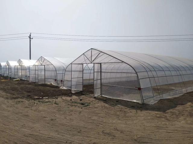 头条百科之温室大棚的工作原理及温室大棚分类