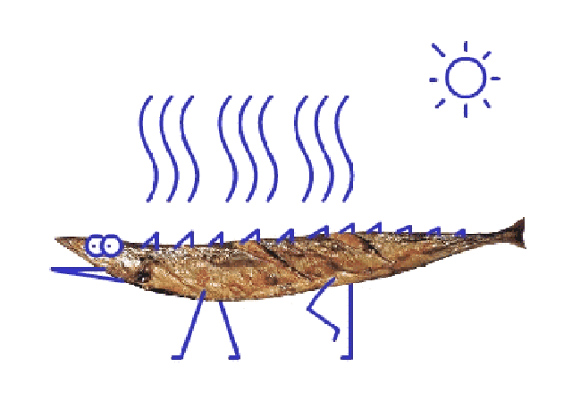 妈呀!六合金牛湖全是鱼