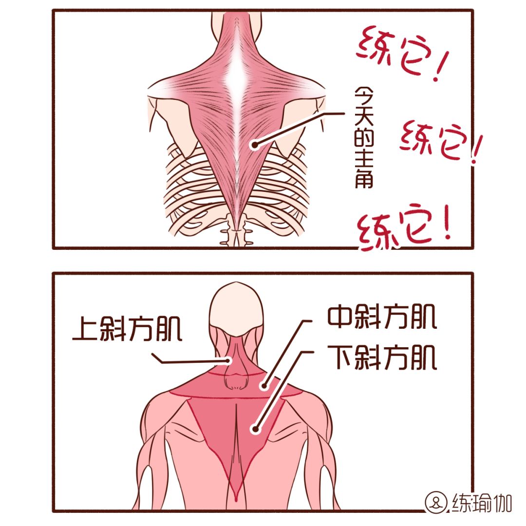 放松胸小肌动作3连，纠正圆肩驼背，气质立马就有了！