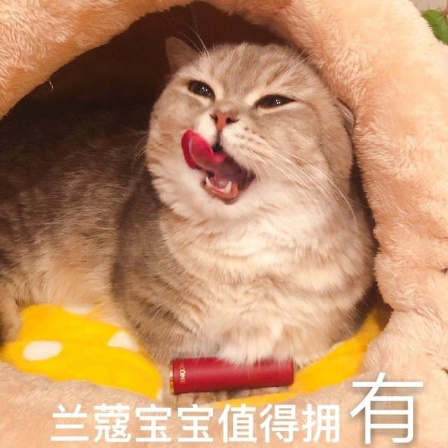 8f3daacb7b8440ea886015af9ba51c28.jpeg