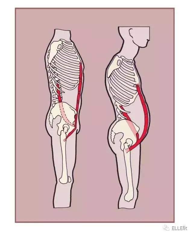 怎么做才能减脂更好 9383e622bc5a40759b476bde0f9dd1a4.jpeg