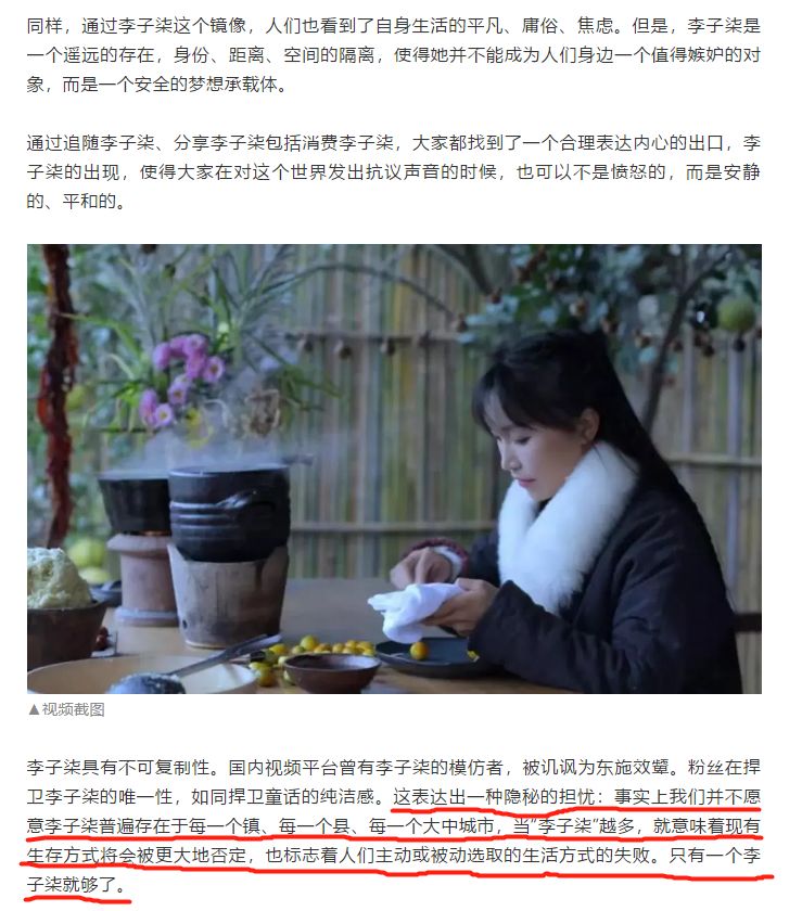 是谁在抹黑李子柒和张维为们