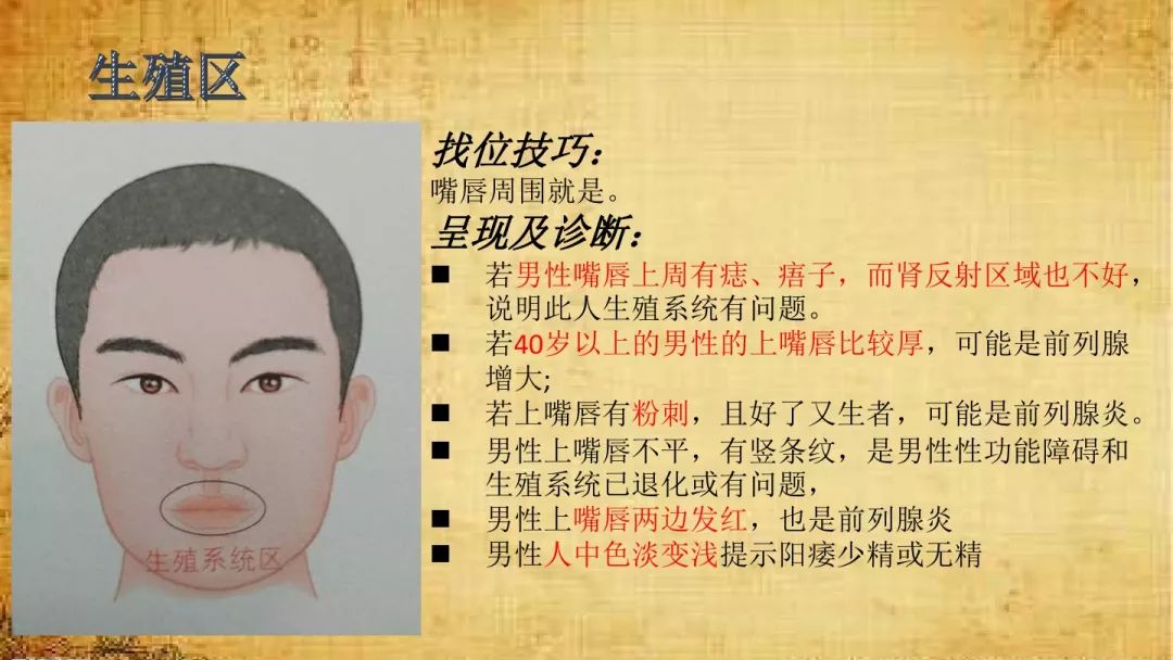 中医面诊基础知识培训视频