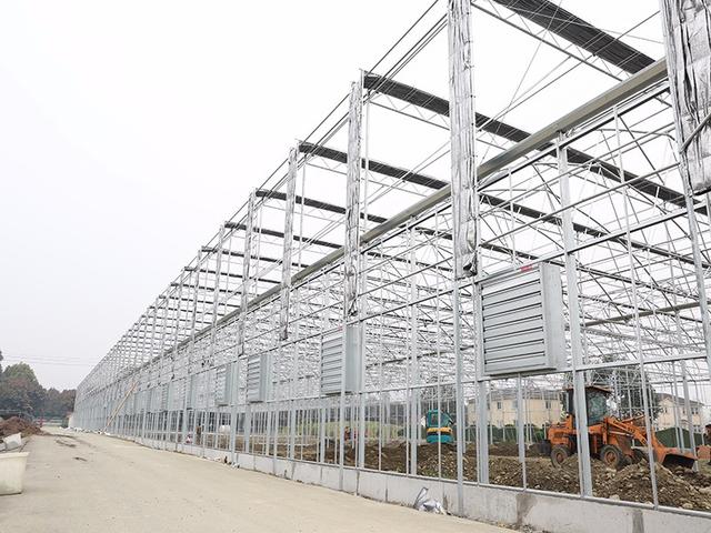 头条百科之温室大棚的工作原理及温室大棚分类