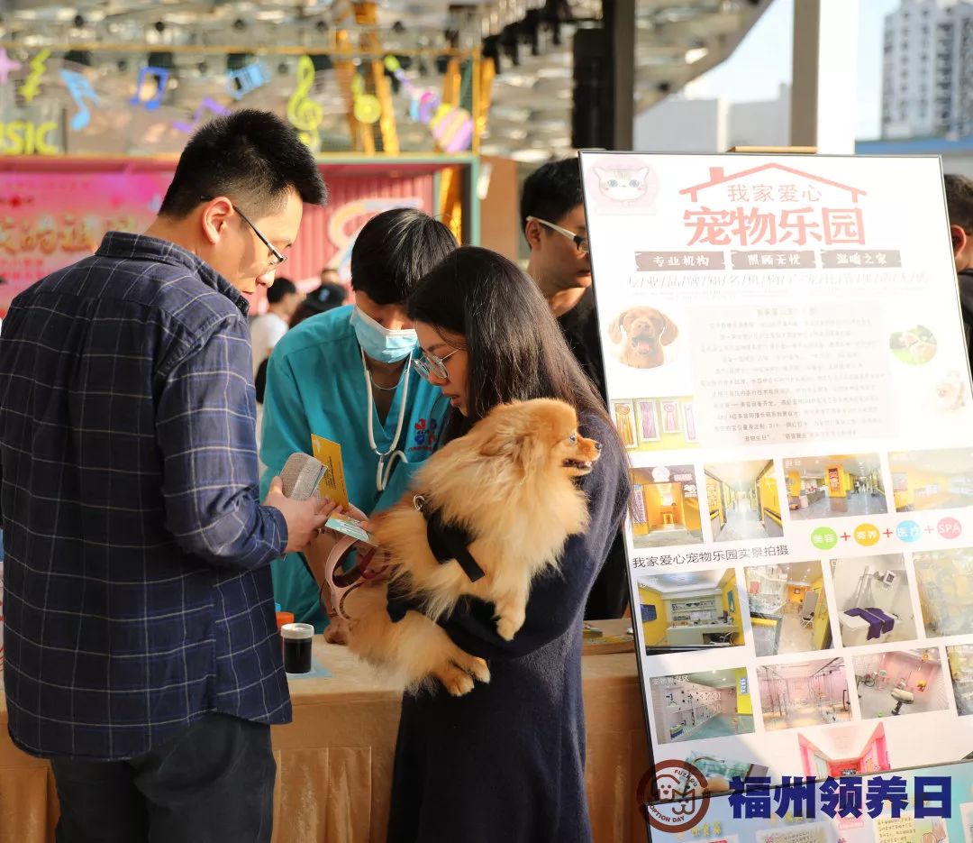 第66届福州宠物领养日回顾 | 以领养代替购买,我们在行动
