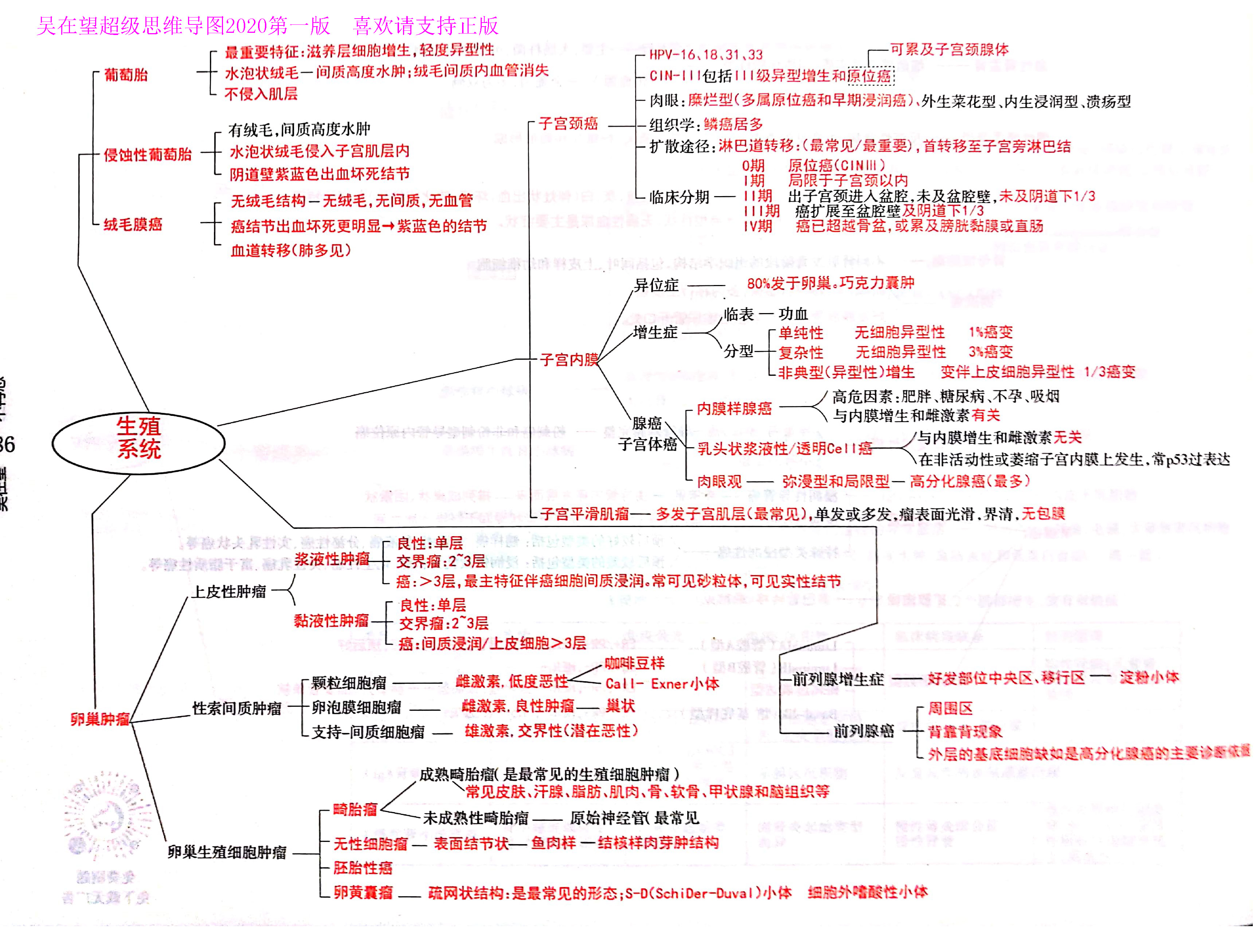 西综思维导图,西综考研神器,吴2病理学--吴在望