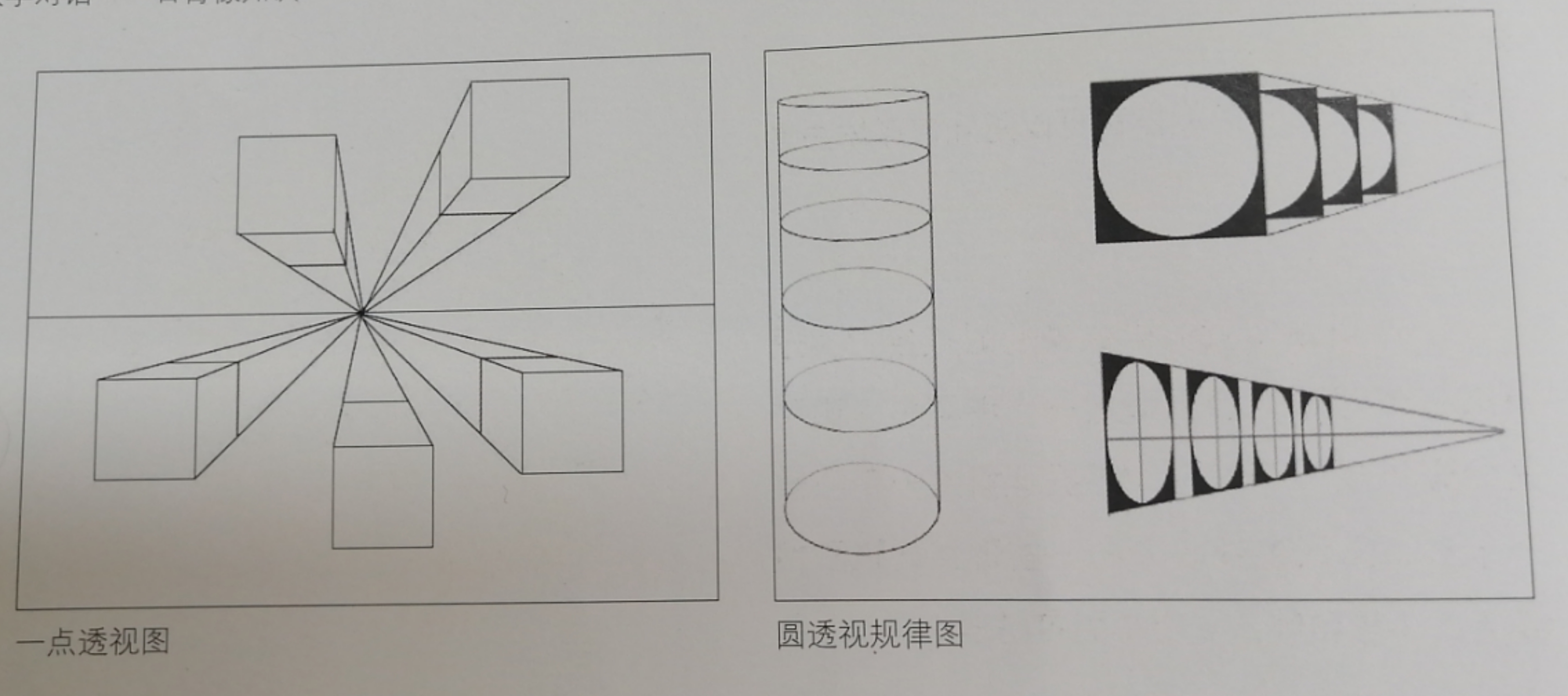 美术基础知识教学新手入门石膏像必看