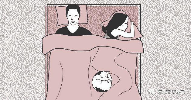 猫咪不同的睡姿代表不同的小心思:天气冷了,被窝里真的会长猫