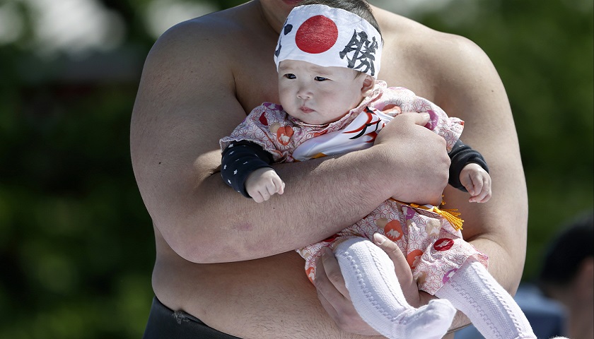 日本育龄人口数_日本樱花