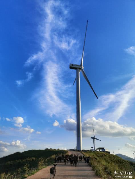 为什么要建大风车发电 b50b942c6f4a43138e7c5d1d3cb5b91e.jpeg