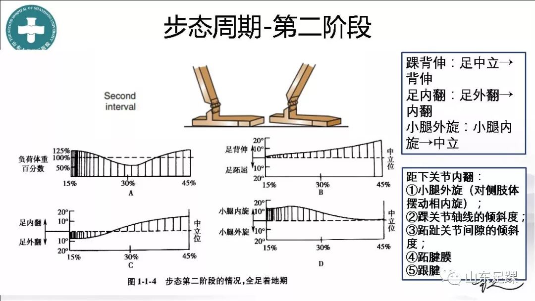 动物拜月的原理_资料分享 高考生物必考16 个实验原理大解析, 好资料一份就够了(2)