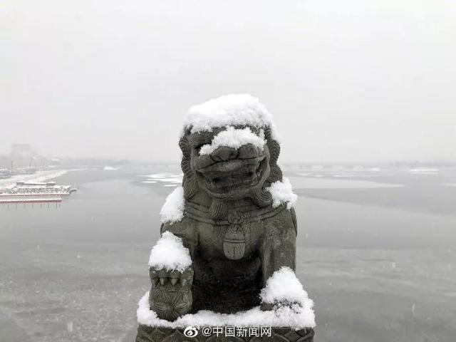 北京喜提大雪!卢沟桥石狮子看呆了