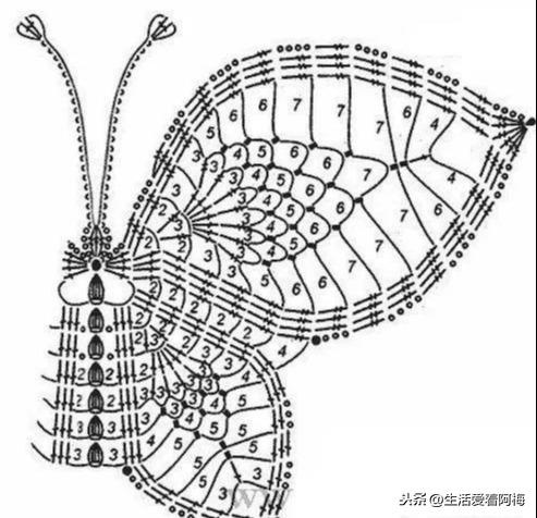 蝴蝶花样大全图解 c3892db485304376a5e4b9e20c02b9d7.jpeg