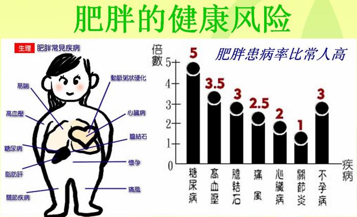 中国人口肥胖_中国肥胖人口占比(2)