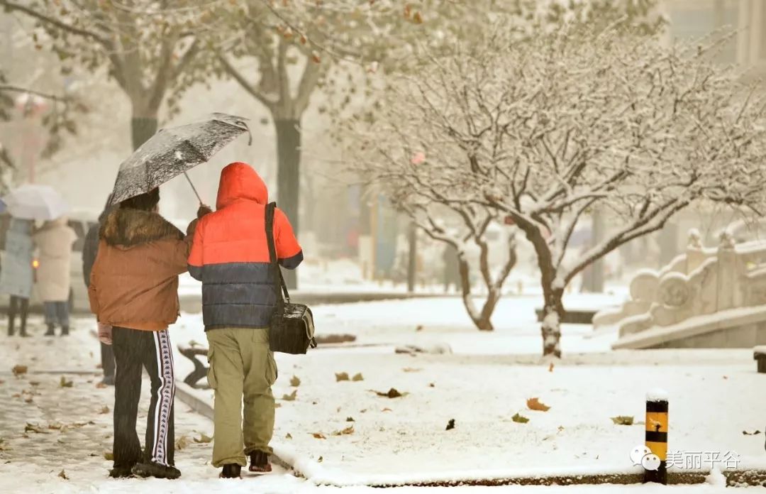 图片:平谷雪景中,那些温暖的感动!