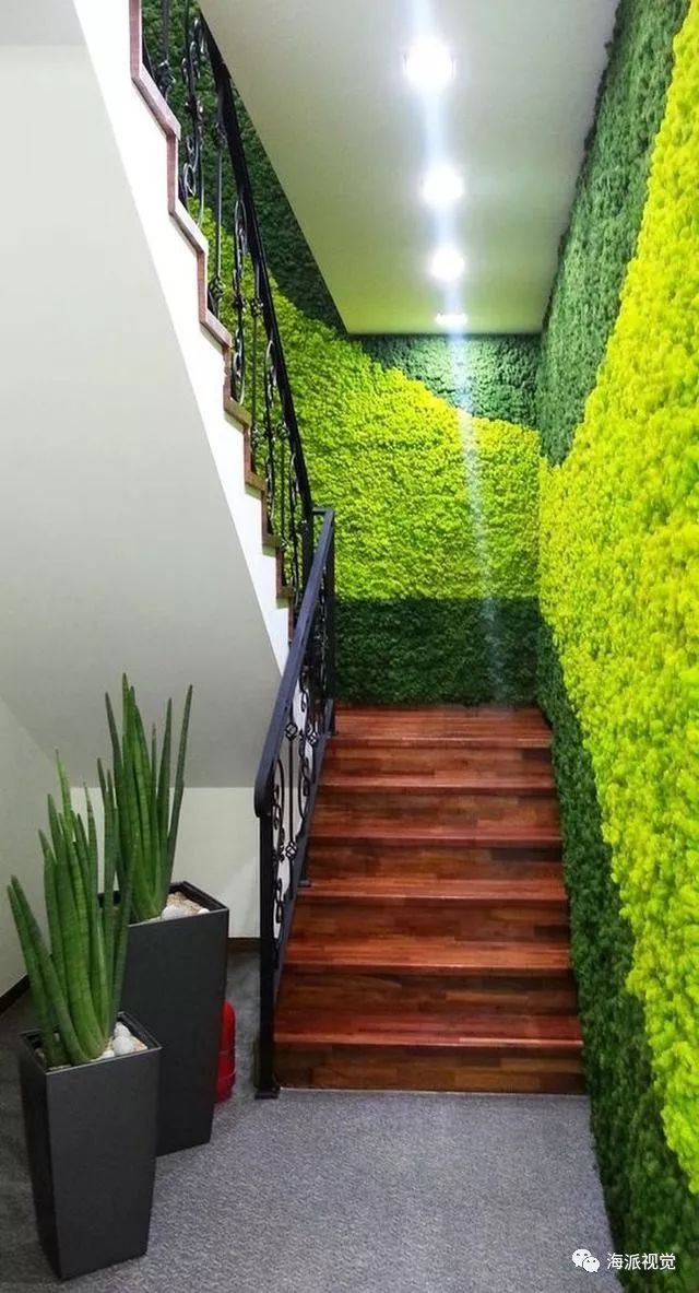 有话的植物墙会让空间的颜色更加具有层次感,有一种浪漫的韵味.