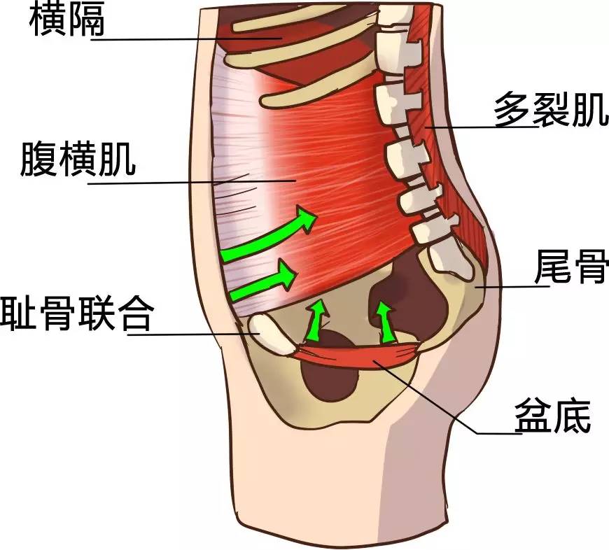 盆底肌有多重要?汤唯:你没生过孩子,你不懂