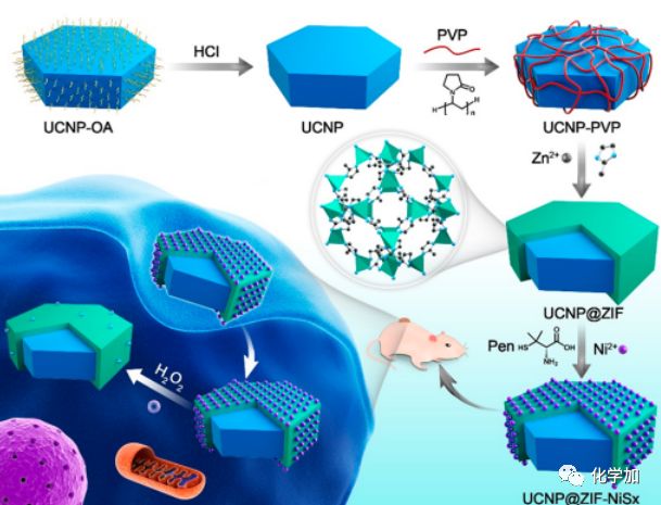 江南大学匡华教授团队设计了一个纳米复合物(ucnp@zif-nisx(figure 1