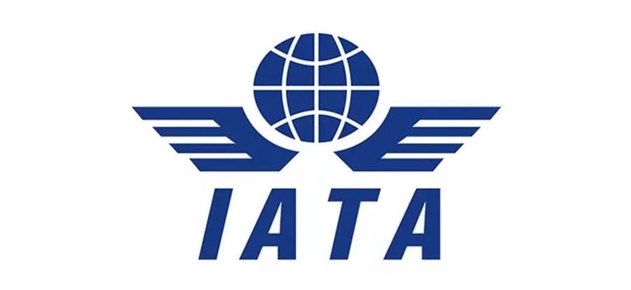 国际航空运输协会：全球航空公司明年净利润预计将创410亿美元历史新高