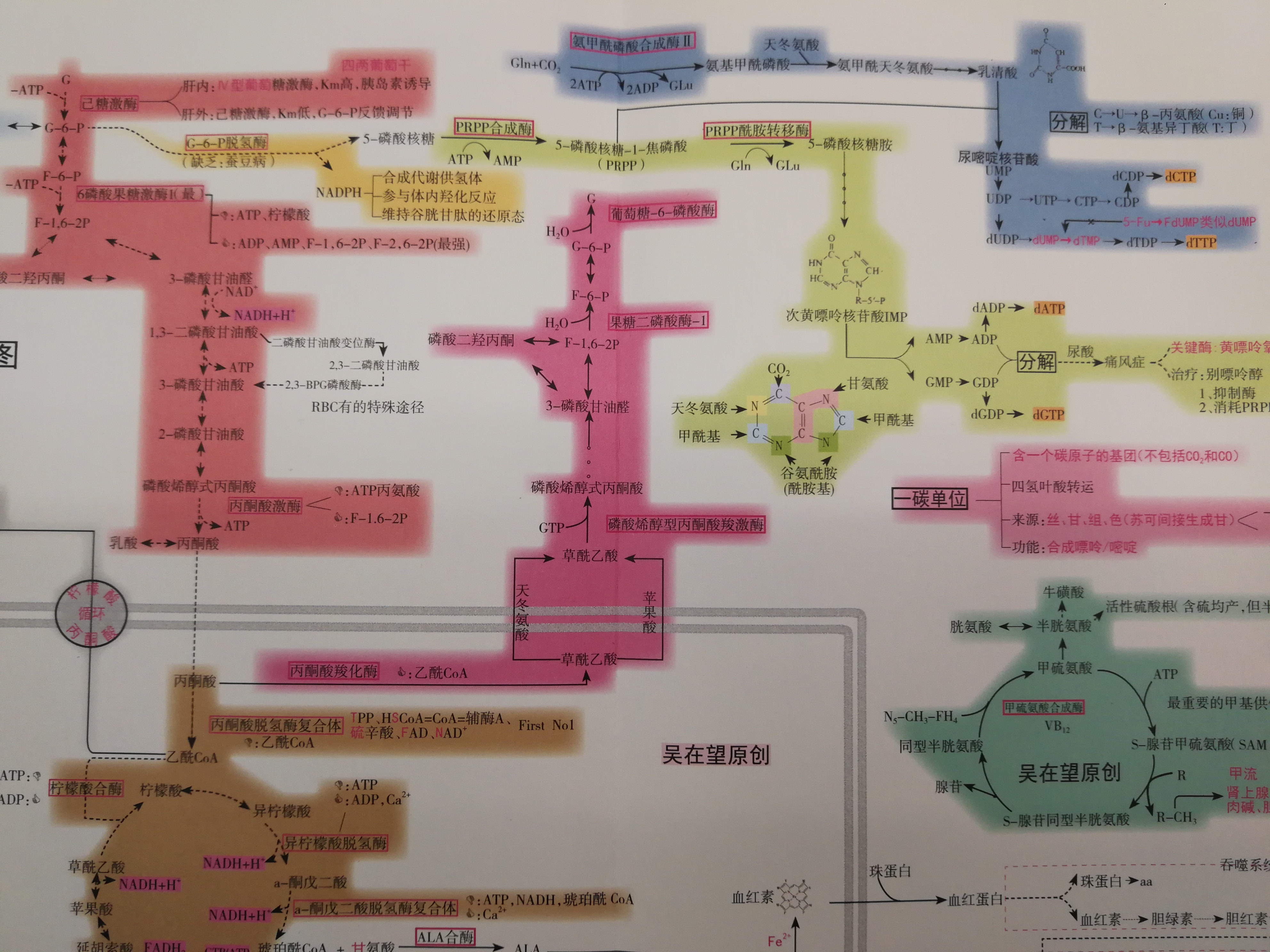 生化还在看三大代谢图四大代谢图?九大代谢图真香