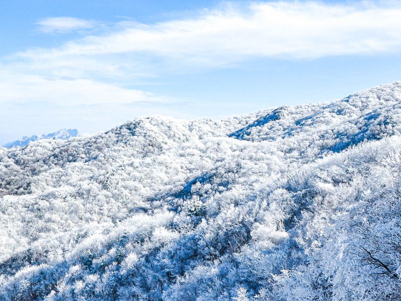 雪景美图奉上
