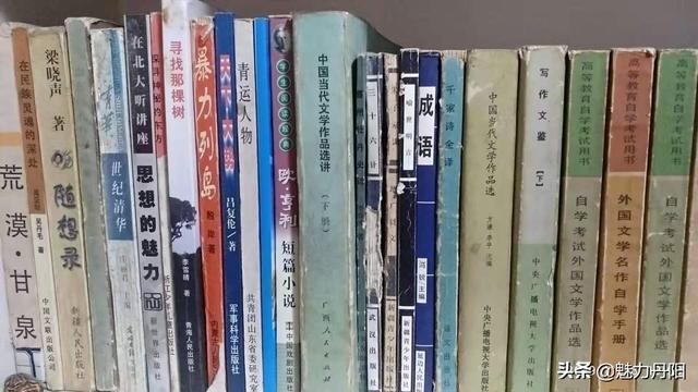 文章配图-33