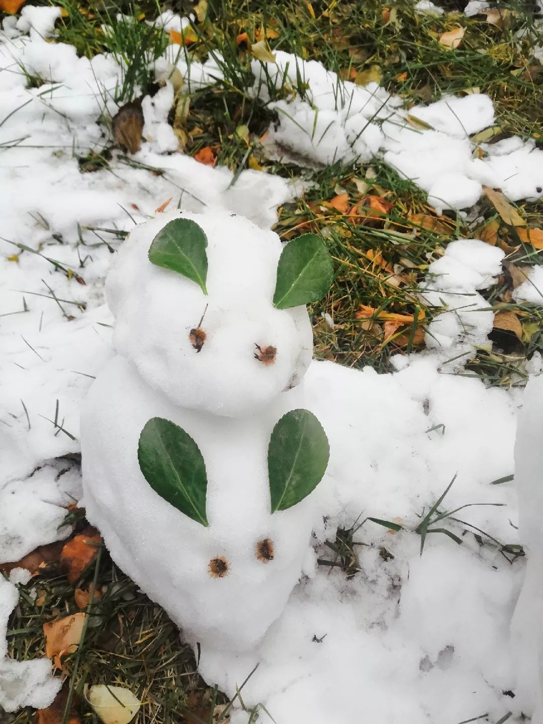 每次一下雪,校园里总是莫名其妙多了一些人